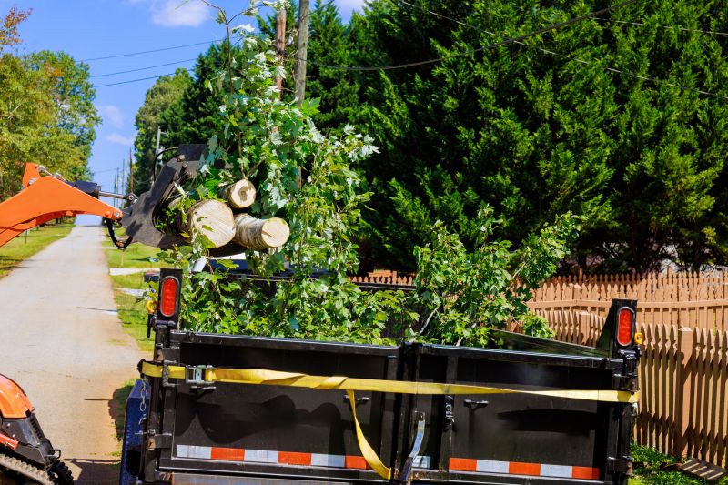 Residential Tree Service